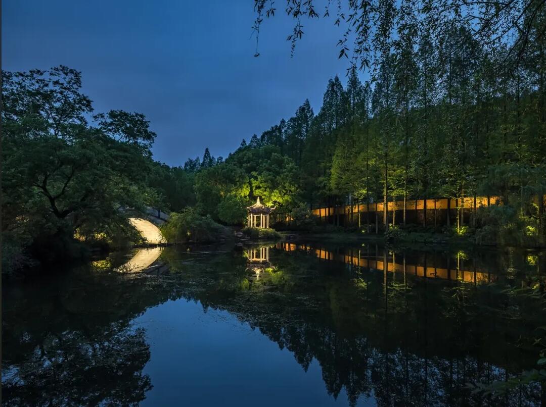 1731393343465985.jpg 1731393343465985.jpg