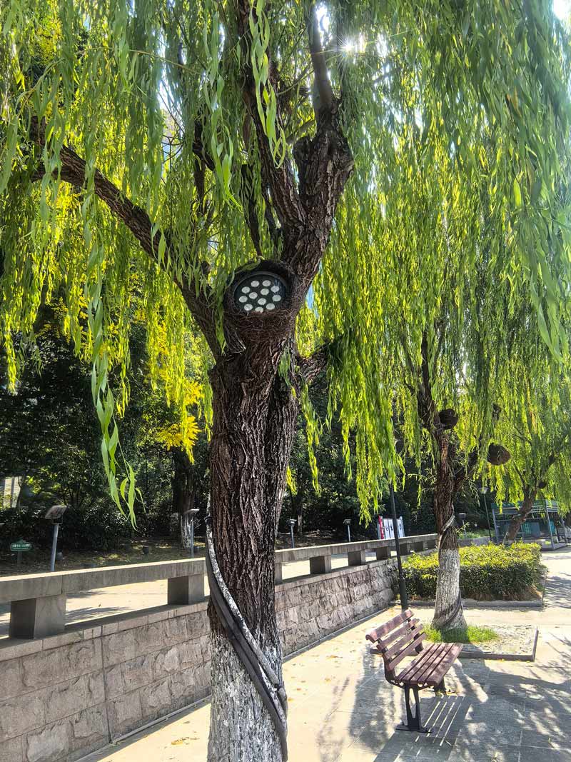 1732870002752568.jpg 11-1.jpg