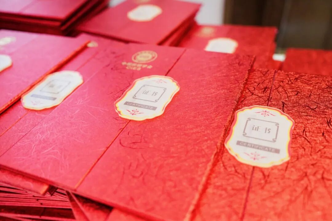 1764725980626842.jpg 1764725980626842.jpg