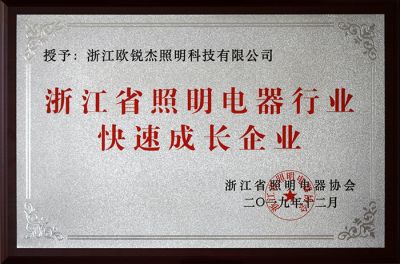 浙江省照明電器行業(yè)快速成長企業(yè)