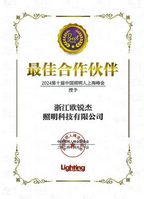 2024第十屆中國(guó)照明人上海峰會(huì) 最佳合作伙伴